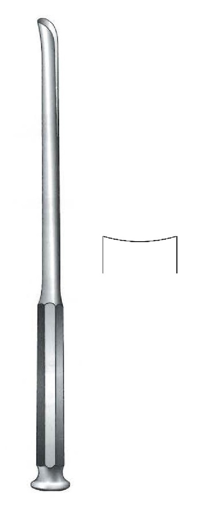 Gubia Honton, convex