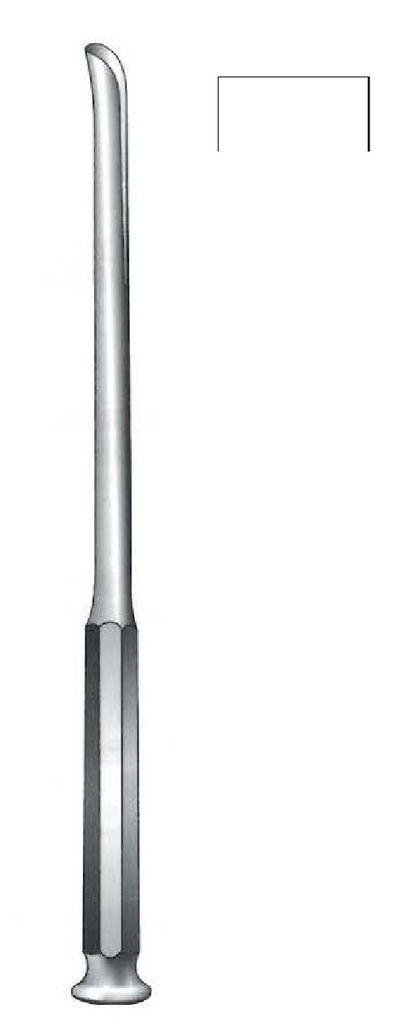 Gubia Honton, straight