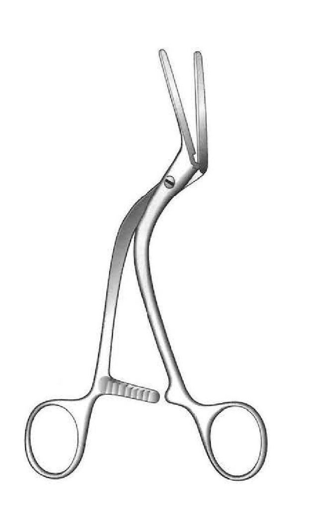 Hopfner glasses clamp