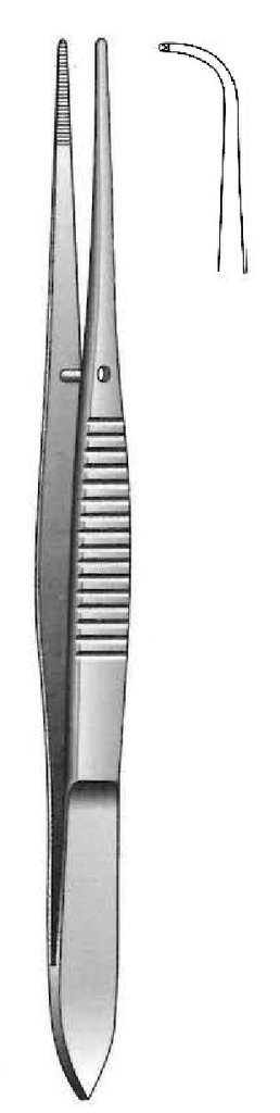 Pinza Iris, curva fuerte, dientes = 1:2