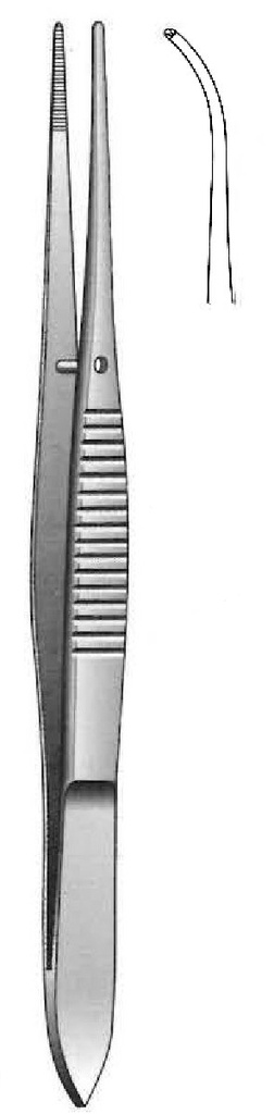 Pinza Iris, curva, dientes = 1:2