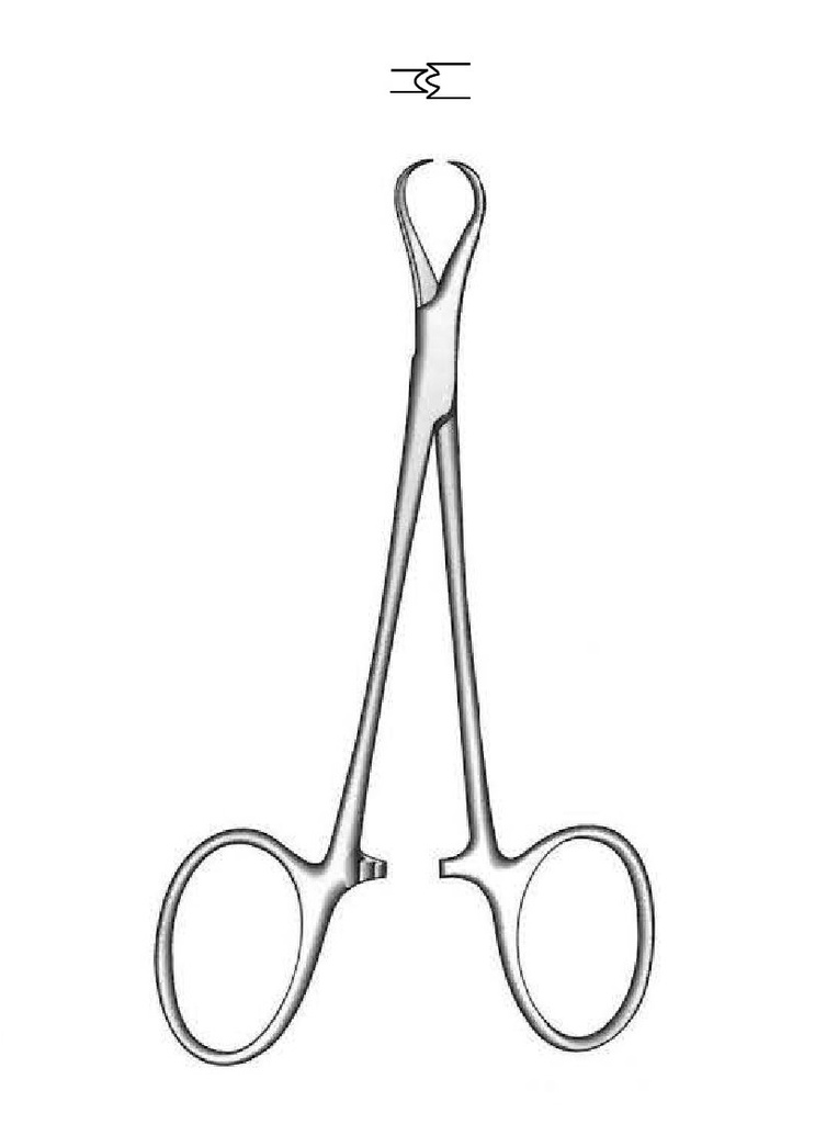 Pinza para campo Jayle - longitud = 13 cm / 5"