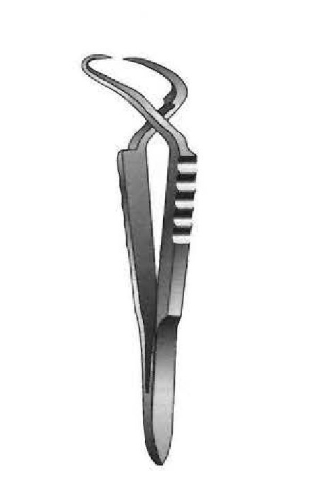 Pinza de campo Jones - longitud = 5 cm / 2"