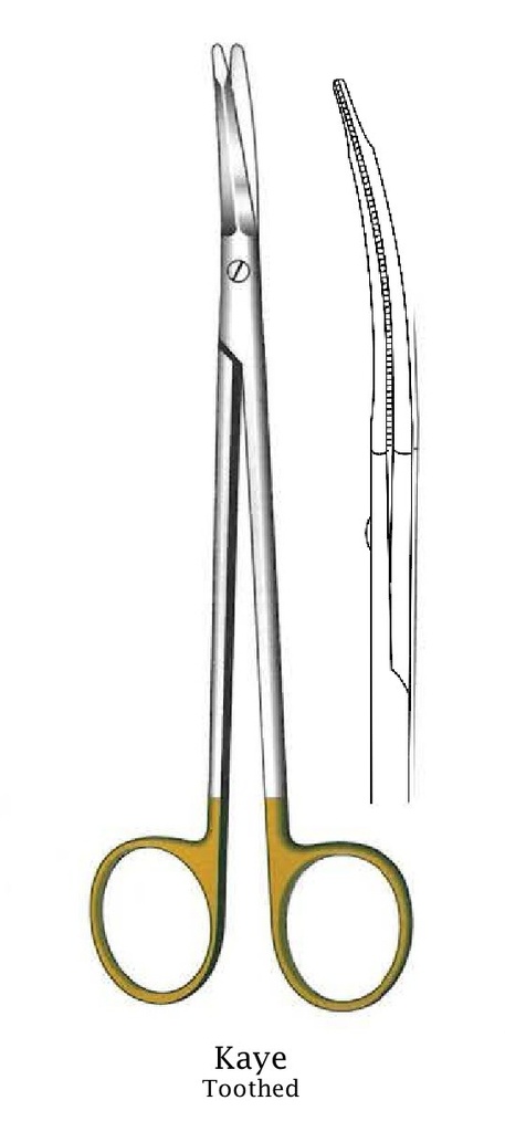Kaye Facial Stretching Scissors, Curve, Gold TC - Length = 18 cm / 7 "