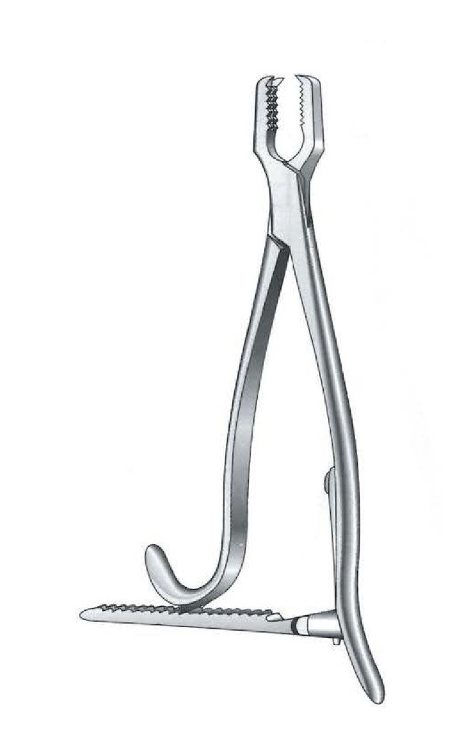 Kern bone clamping clamp with ratchet - length = 17 cm / 6-3 / 4 "