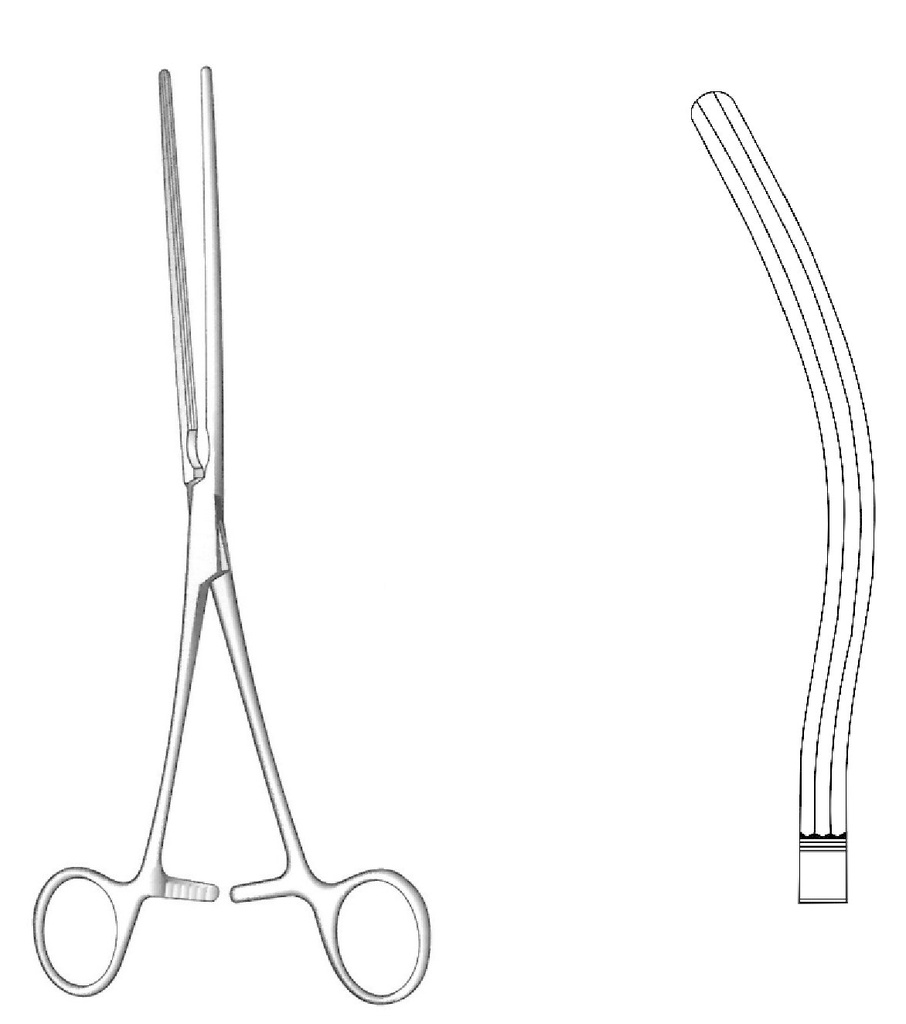 Pinza intestinal de Kocher, curva - longitud = 22 cm / 8-3/4"