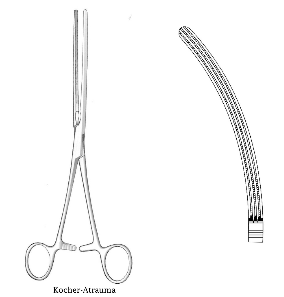 Pinza intestinal atraumática Kocher, curva - longitud = 25 cm / 10"