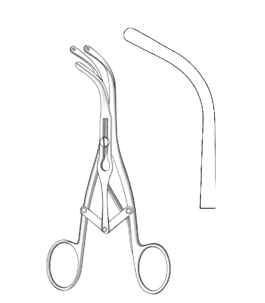 Labor dilator lampde, annular handle