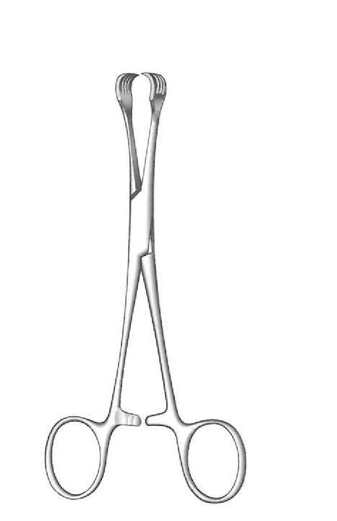 Lahey goiter grip clamp - length = 15 cm / 6 "