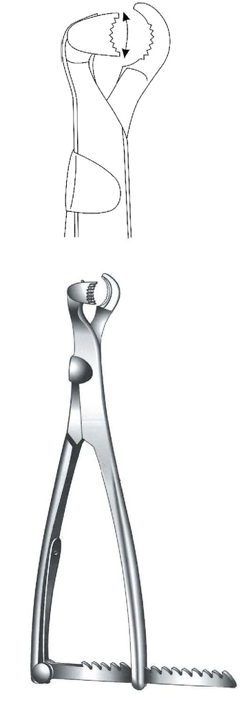 Fastening clamp for lambotte bones, straight - length = 33 cm / 13 "