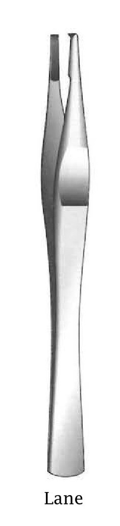 Lane dissection clamp, teeth = 2: 3 - length = 15 cm / 6 "