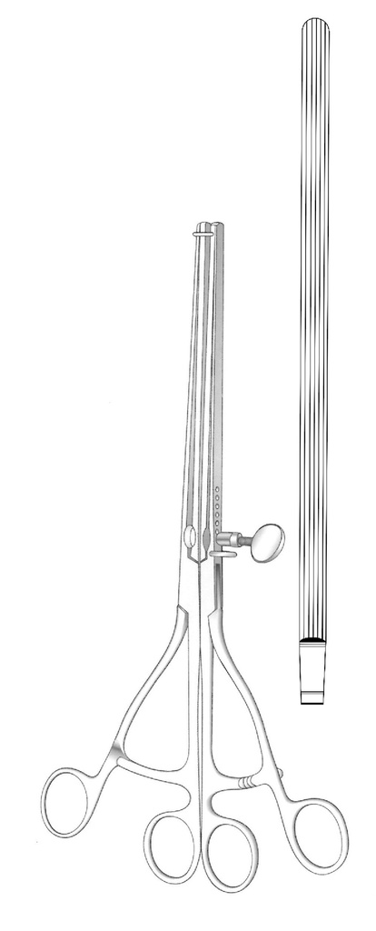 Pinza intestinal Lane, recta