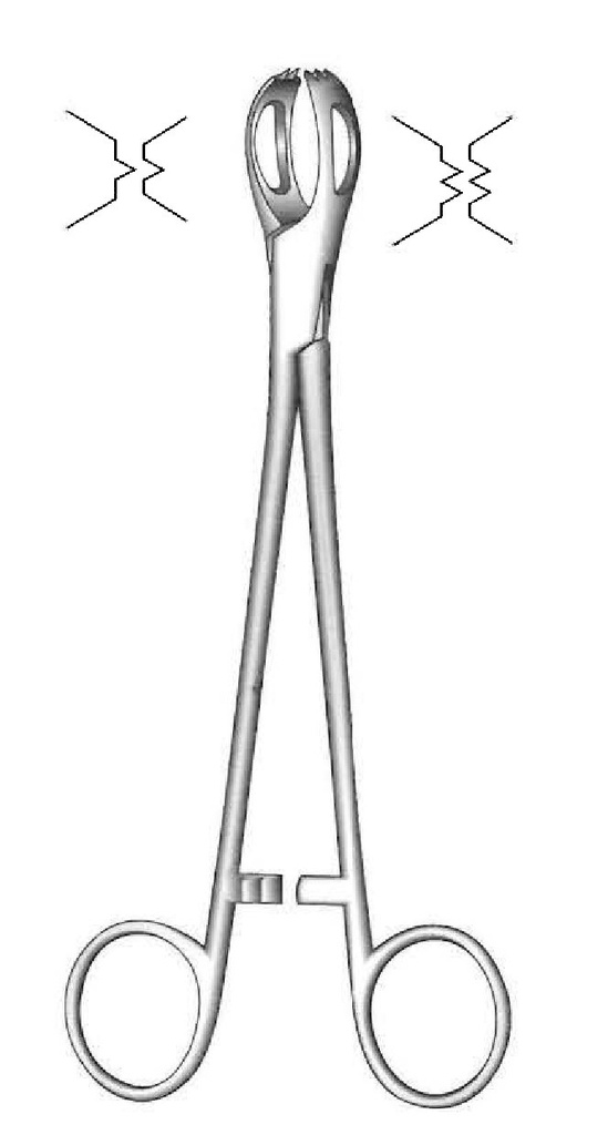 Lane fabric clamp, teeth = 2: 3 - length = 15 cm / 6 "