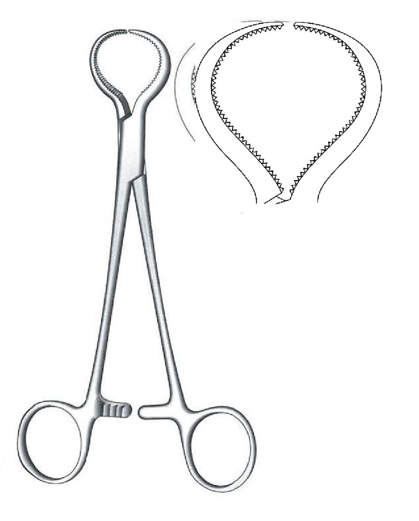 Clamping clamp for lewin bones