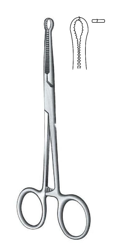 Locke Falanges clamp