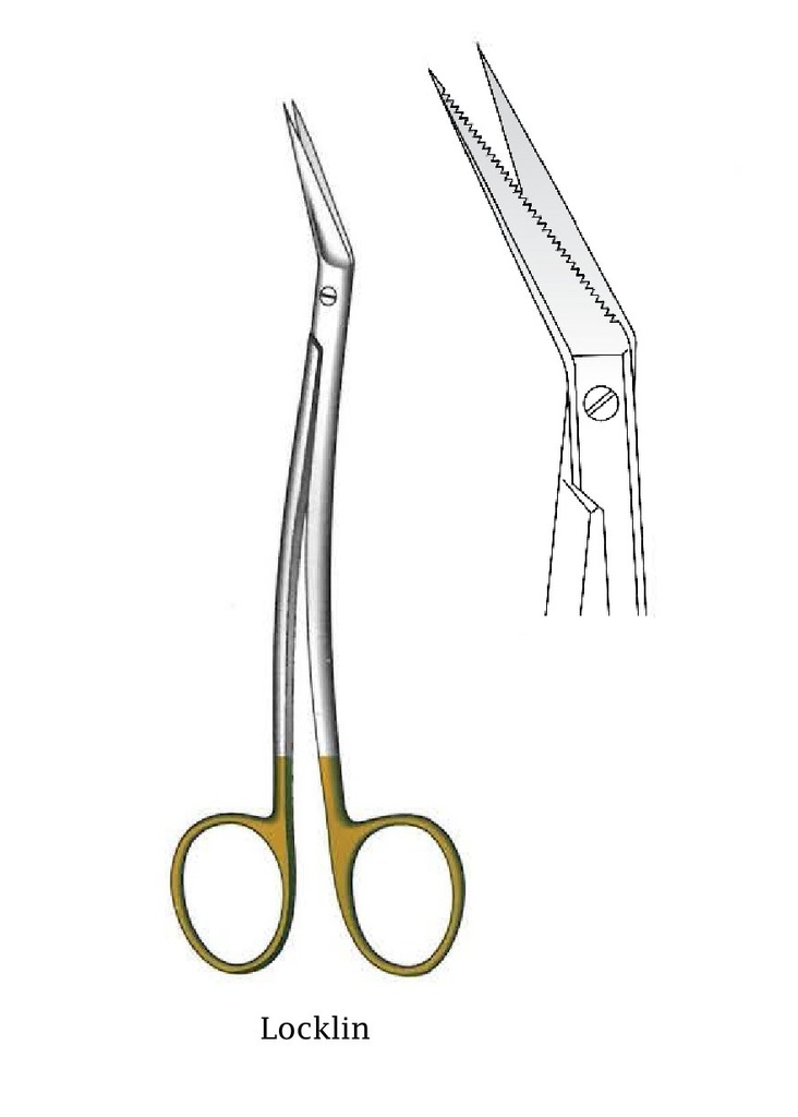 Locklin gum scissors, curved rod, Gold TC
