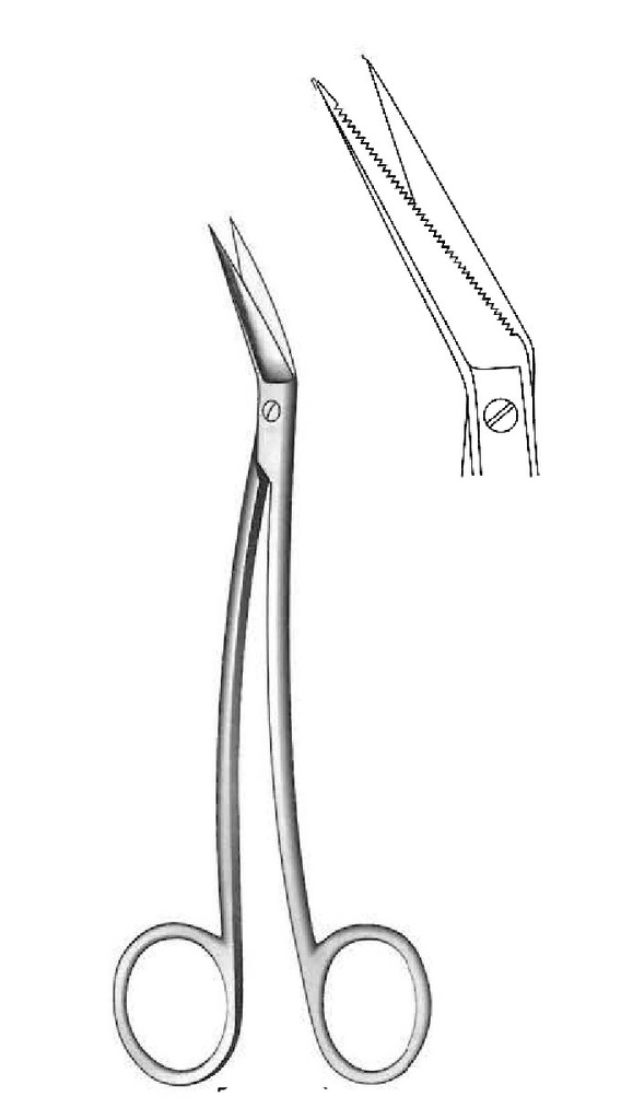 Locklin gum scissors, curved rod