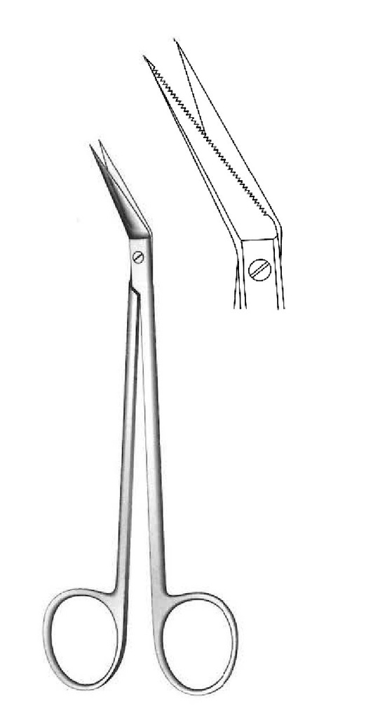 Locklin gum scissors, straight stem