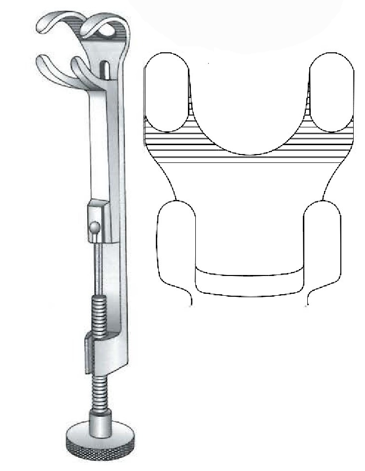 Pinza de sujeción para huesos Lowman, dientes = 2:2 - longitud = 20 cm / 8"