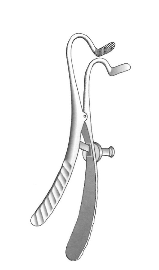 Open Mason, Ackland jaws - length = 19 cm / 7-1 / 2 "