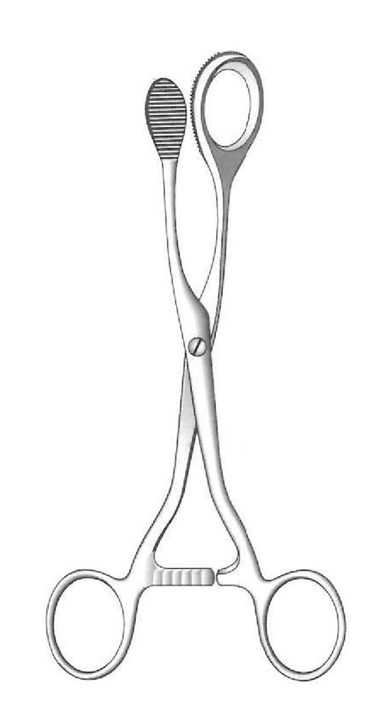 Pinza de sujeción para lengua Mathieu