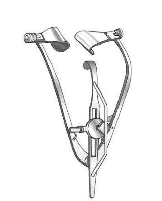 Maumenee-Park Eye Speculus