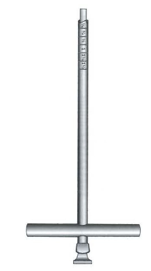 Trépano Michele, tamaño mediano