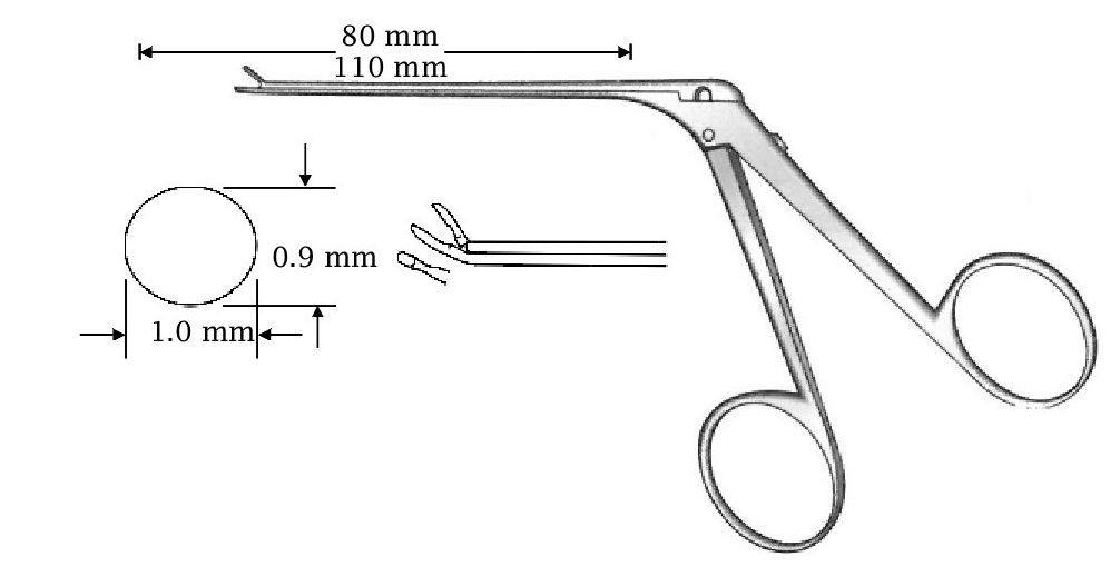 Micro clamp for ear, curved up, diameter = 0.9 x 1.0 mm - Axis length = 110 mm