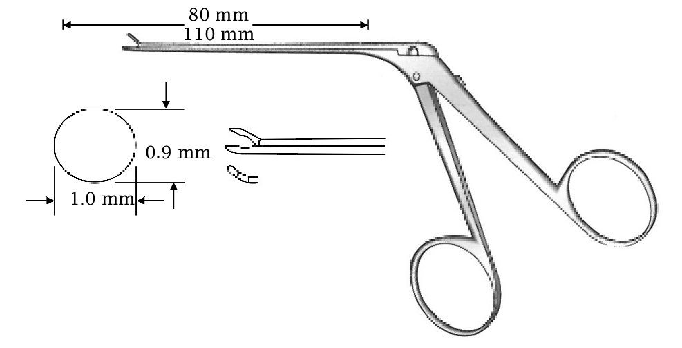 Micro pinza para oído, derecha, diámetro = 0.9 x 1.0 mm - longitud del eje = 110 mm