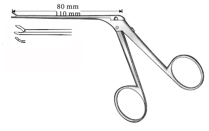 Micro pinza para oído, derecha, diámetro = 0.6 x 0.5 mm - longitud del eje = 80 mm