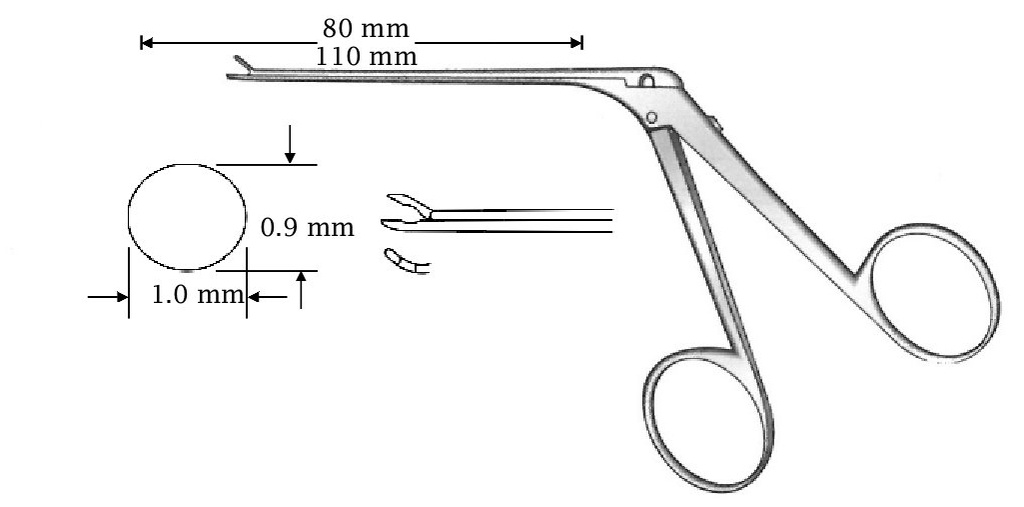 Micro pinza para oído, derecha, diámetro = 0.9 x 1.0 mm - longitud del eje = 80 mm