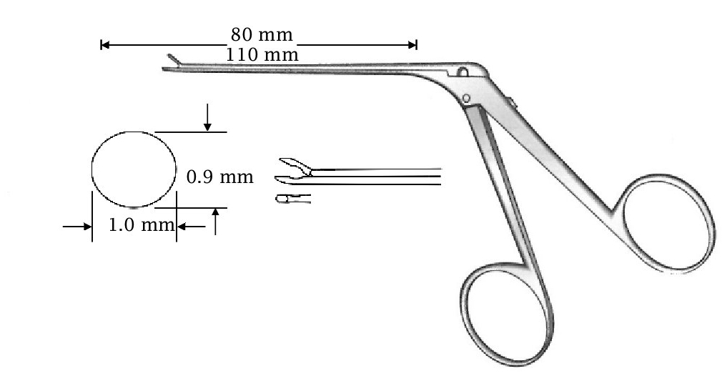 Micro pinza para oído, recta, diámetro = 0.9 x 1.0 mm - longitud del eje = 80 mm