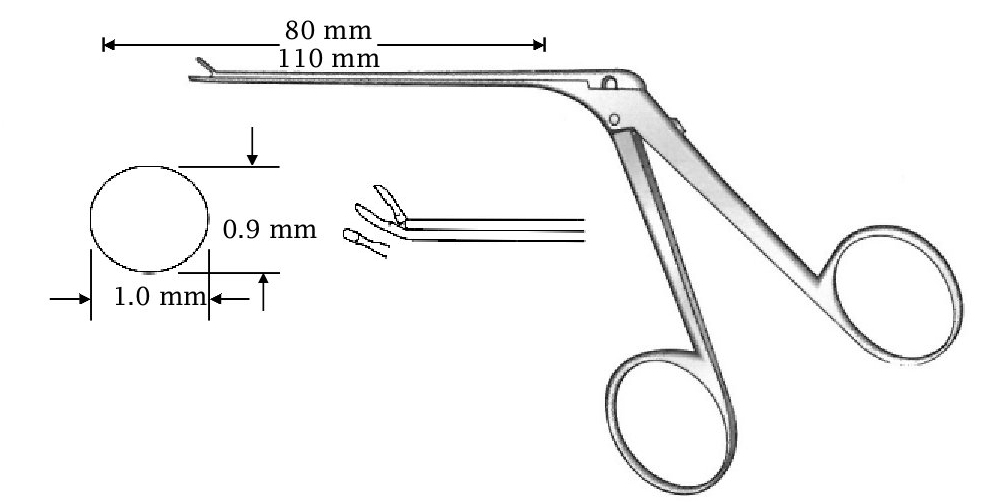 Micro clamp for ear, curved up, diameter = 0.9 x 1.0 mm - Axis length = 80 mm