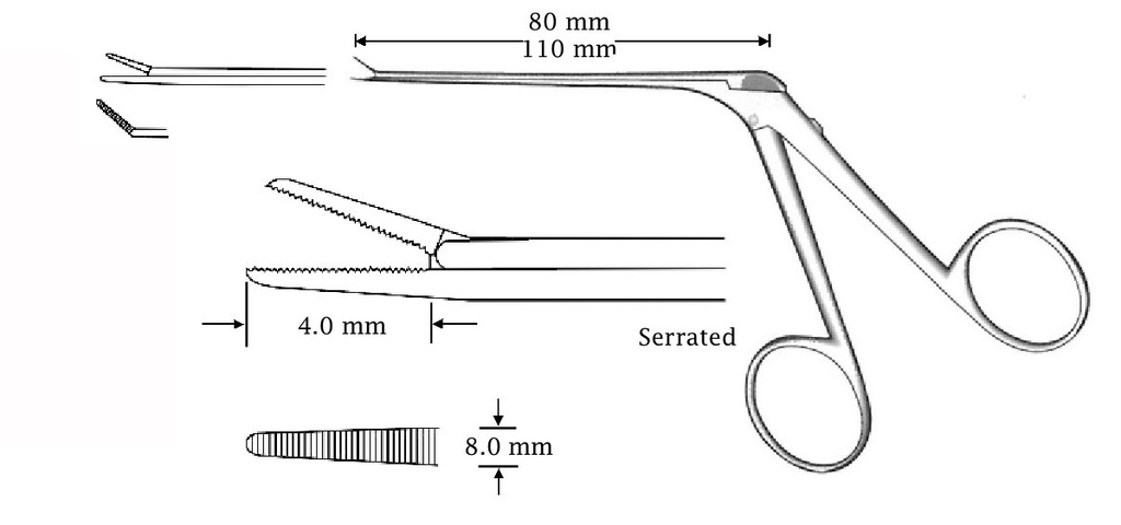 Micro pinza para oído, derecha, dentada - longitud = 110 mm