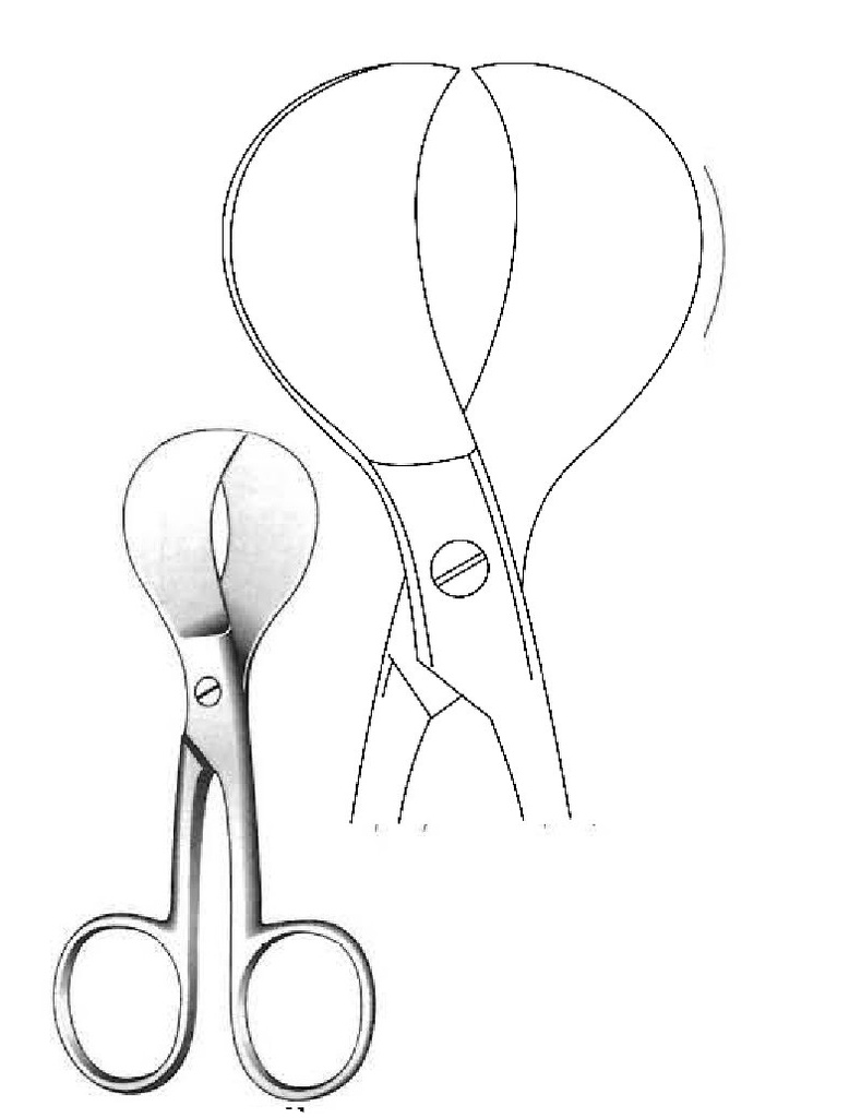 Tijera para cordón umbilical modelo americano - longitud = 10.5 cm / 4-1/4"