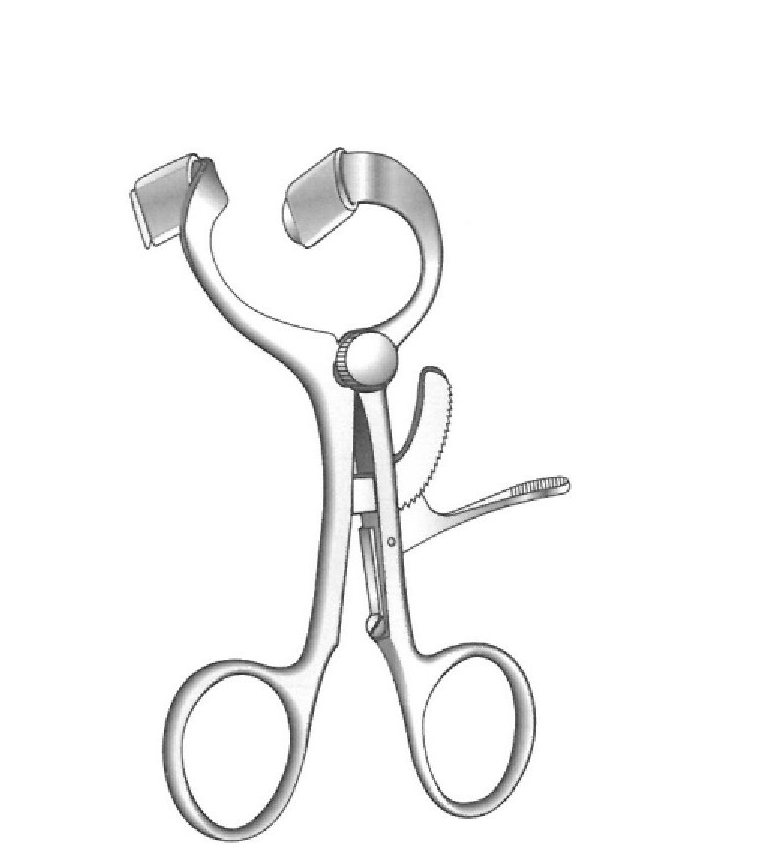 Open Molt-Doyen-Length = 11 cm / 4-1 / 4 ”