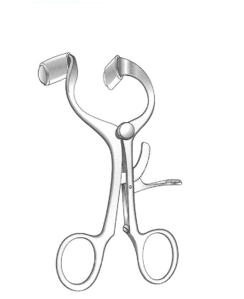 Abreboca Molt-Doyen - longitud = 14 cm / 5-1/2"