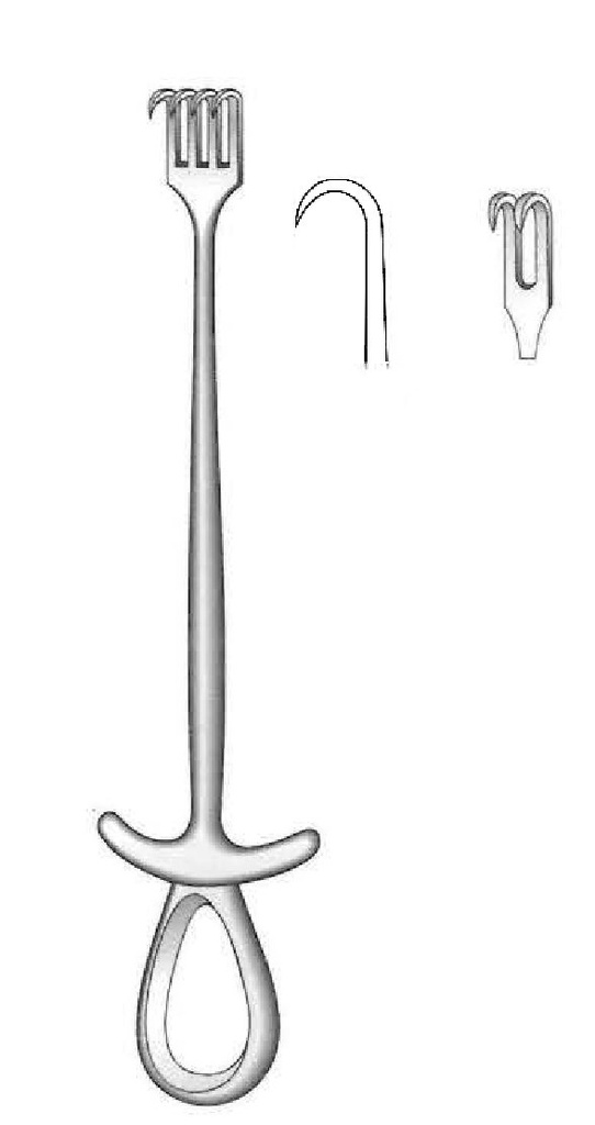 Murphy separator, sharp, 2 teeth