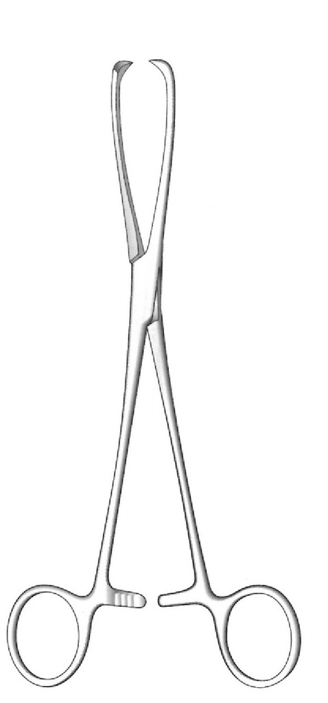 Pinza de tenáculo Museux Droite. Mandíbulas dentadas. 25 cm / 10"