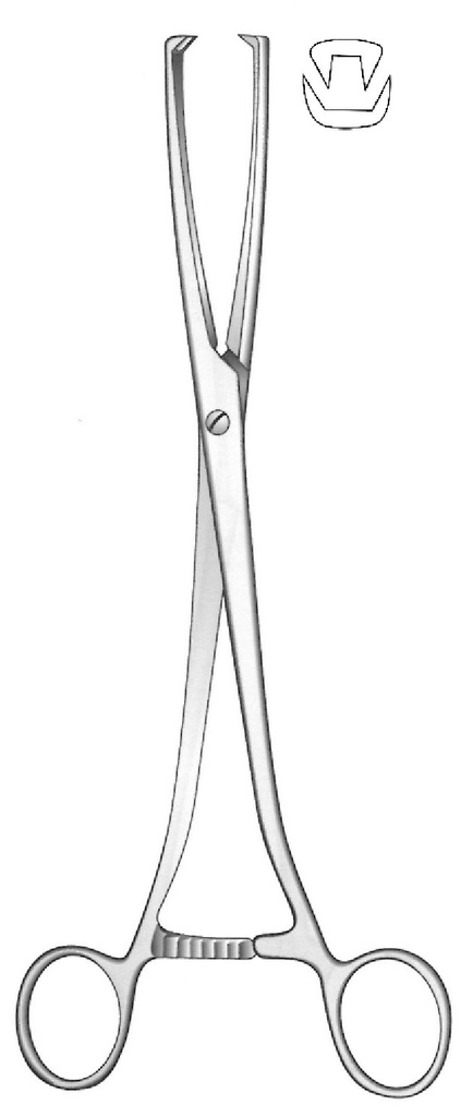 Museux Tenaculum Forceps, straight, width = 10 mm