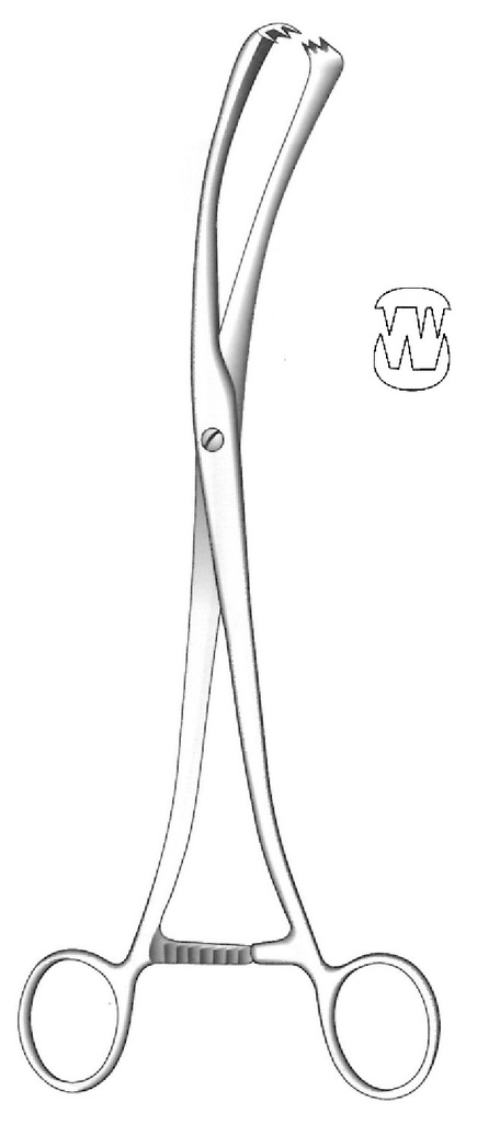 Pinza de tenáculo Museux, curva, ancho = 11 mm