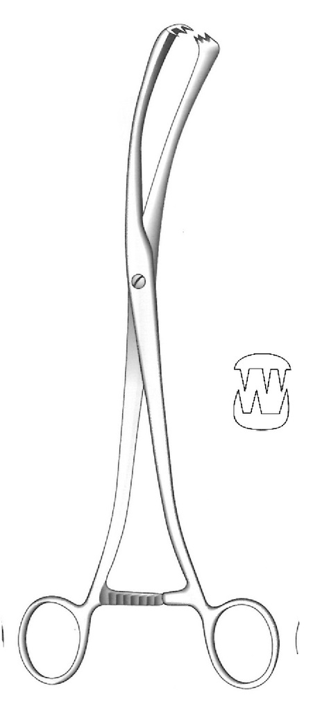 Pinza de tenáculo Museux, curva, ancho = 13 mm