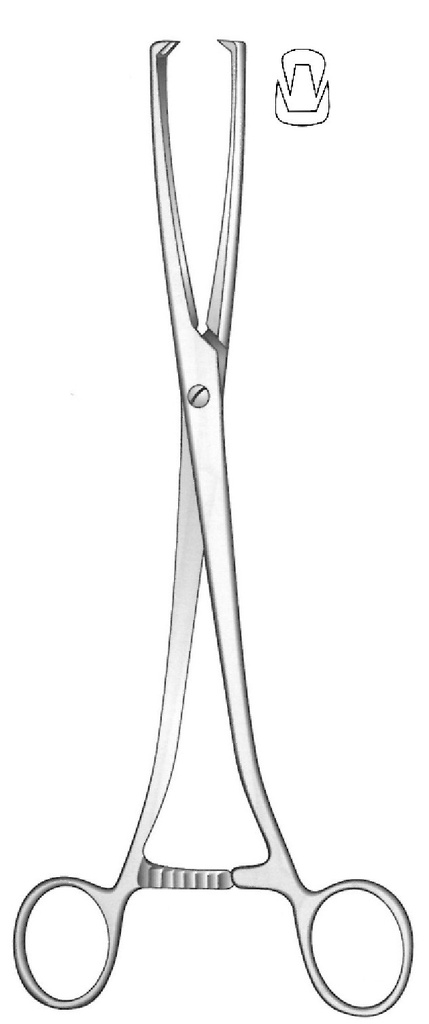 Pinza de tenáculo Museux, recta, ancho = 6 mm