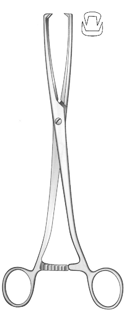 Pinza de tenáculo Museux, recta, ancho = 8 mm