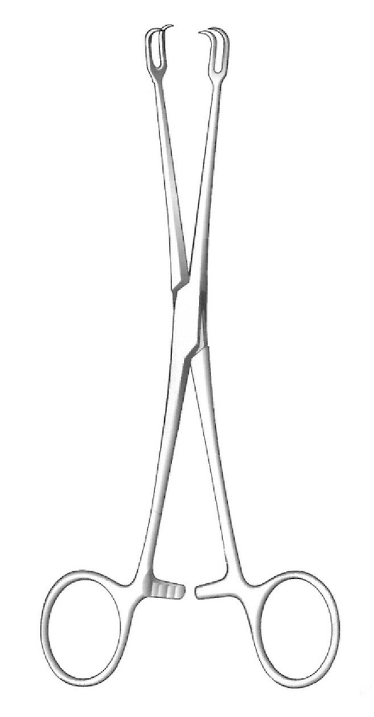 Pinza de agarre para amígdalas Museux, recta