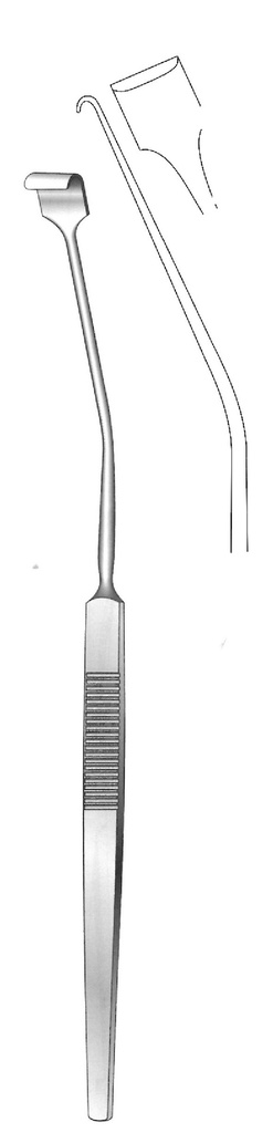Nager tonsils