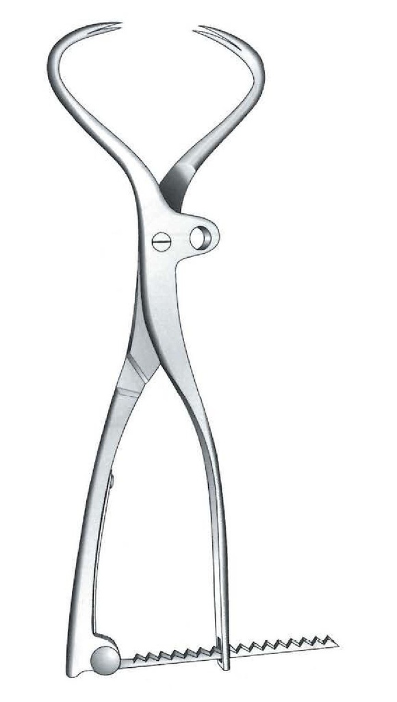 Pinza de sujeción para huesos Ollier - longitud = 22 cm / 8-3/4"