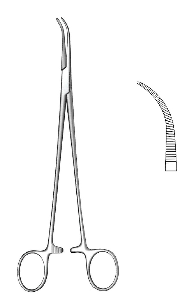 Light -up clamp and overholt artery, fine model, Figure 1