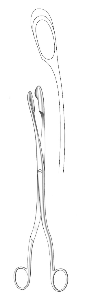 Ovum scalp flap clamp