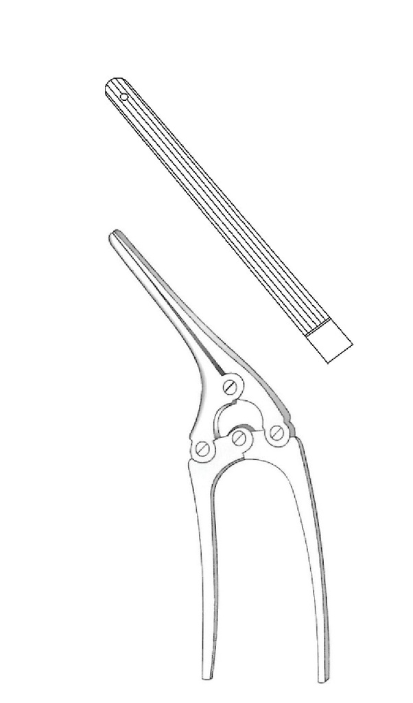 Payr -Baby intestinal clamp with pin - length = 15 cm / 6 "